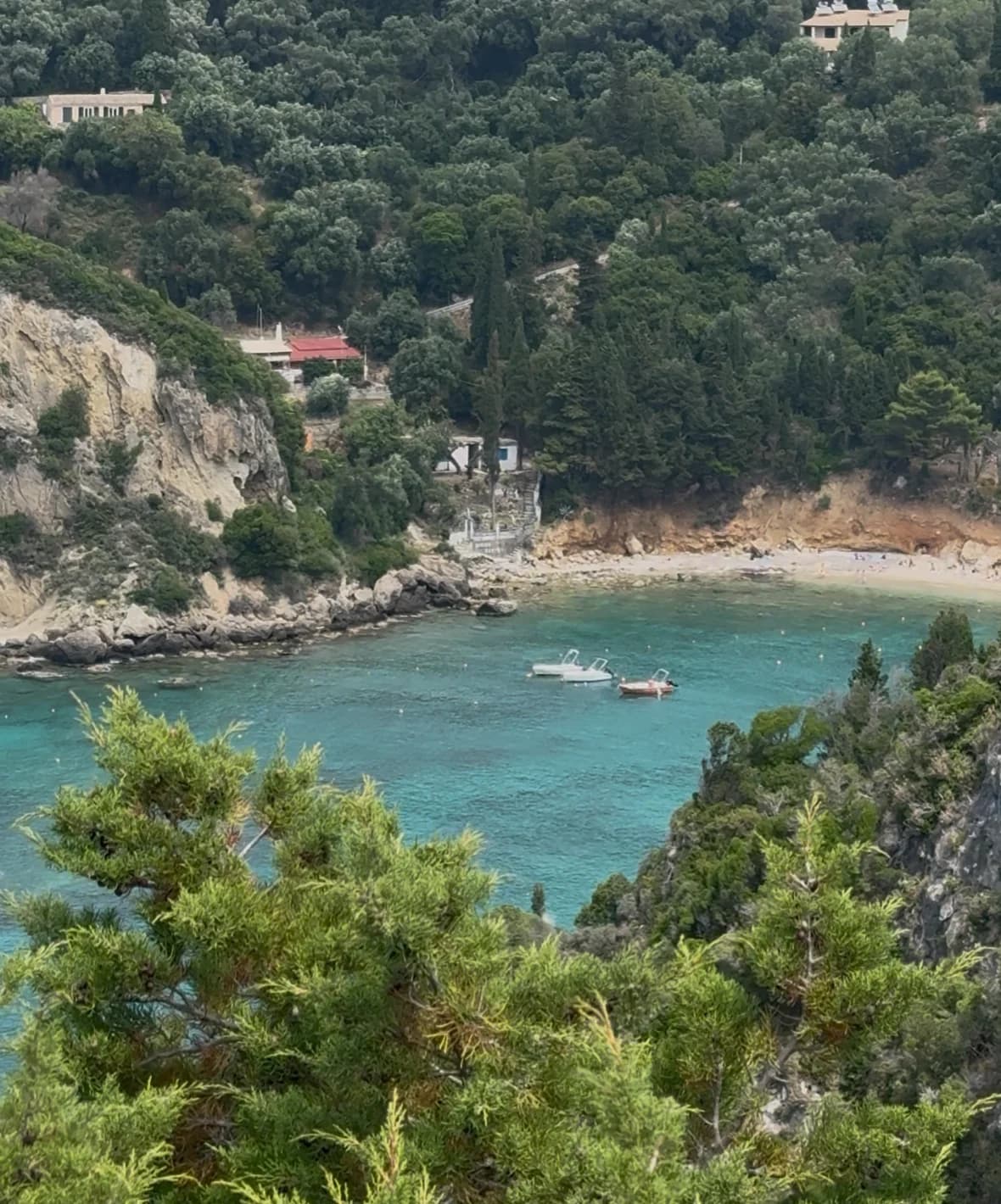 Mouse Island Tour (copy) 3