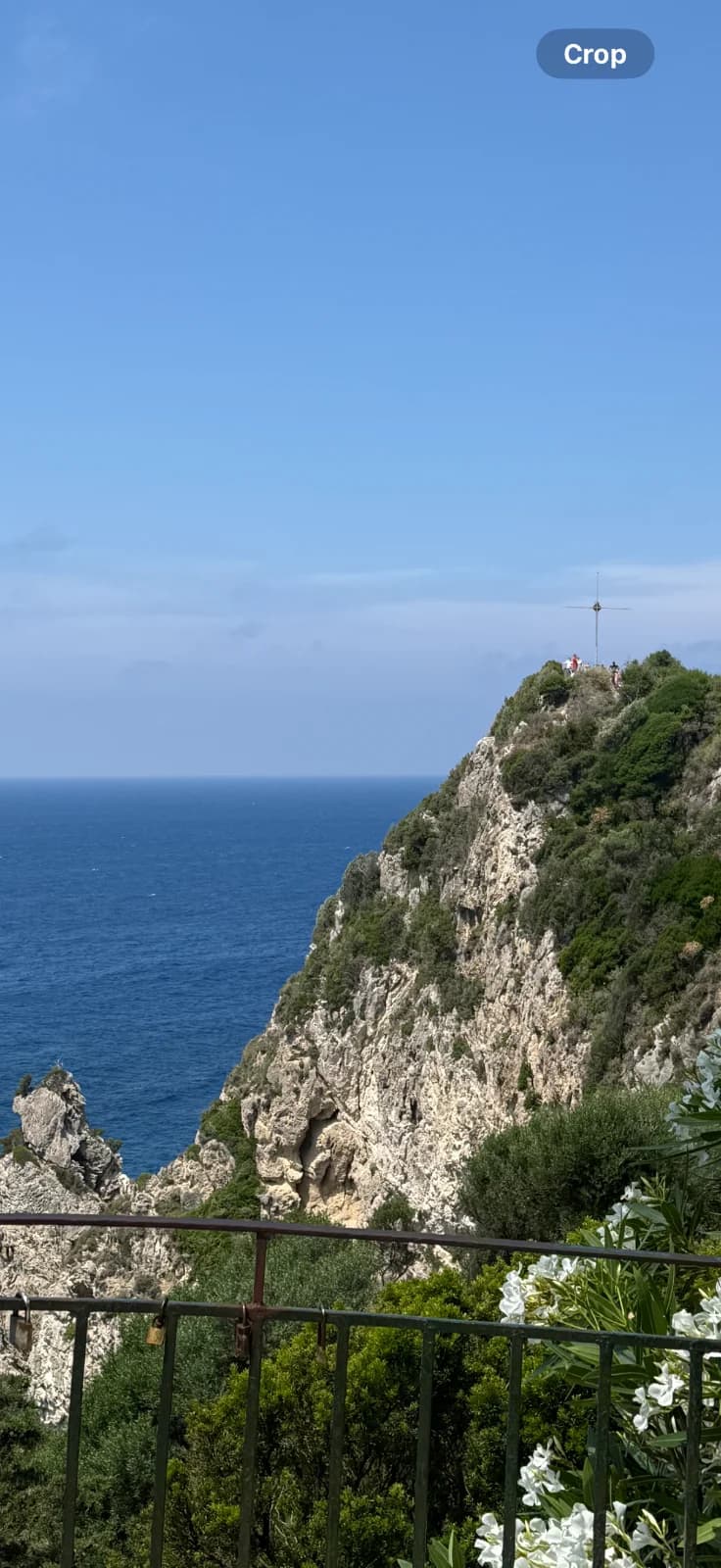 Mouse Island Tour (copy) 4